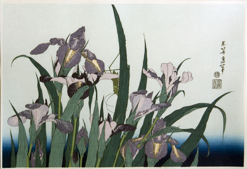 Hokusai Irises and grasshopper