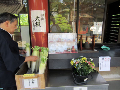 Matsuchiyama Shoden shrine (3)
