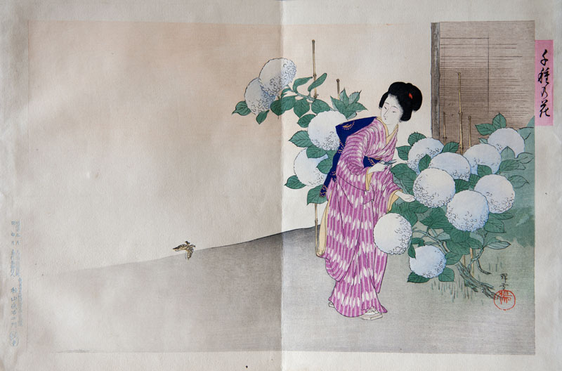 Ikeda Terukata Senshu no Hana Lady gardening